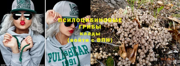 ПСИЛОЦИБИНОВЫЕ ГРИБЫ Волосово