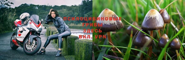 прущая мука Волоколамск