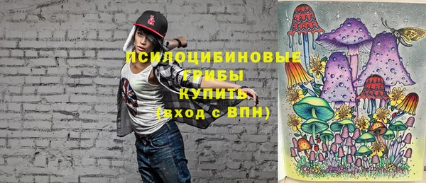 соль курить ск Верея