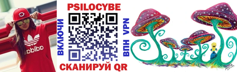 hydra как зайти  Южно-Сухокумск  Псилоцибиновые грибы Psilocybe 