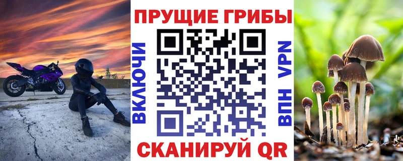 Псилоцибиновые грибы Magic Shrooms Южно-Сухокумск