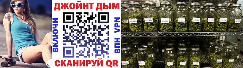 Канабис план  где купить наркоту  Южно-Сухокумск 